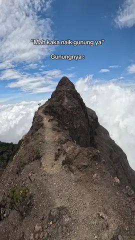 Raung gagah bgt🤏🏻 #gunungraung #raungkalibaru #raung3344mdpl #pendaki #pendakicantik 