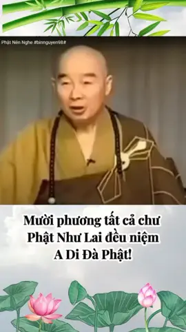 #nammoadidaphat #niemphatvangsanh #tayphuongcuclac #adidaphat #httinhkhong 