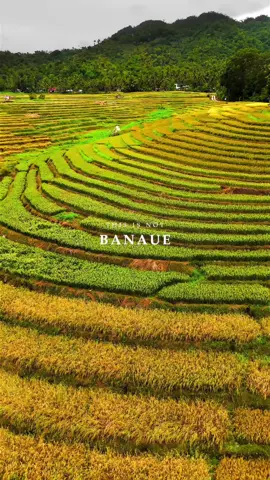 Banaue Rice Terraces? Nope. It’s Bohol’s Cadapdapan Rice Terraces. #philippines #tourism #travel #mountains  #pilipinas     