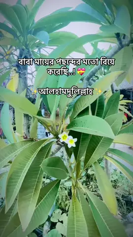 #আলহামদুলিল্লাহ❤️ 