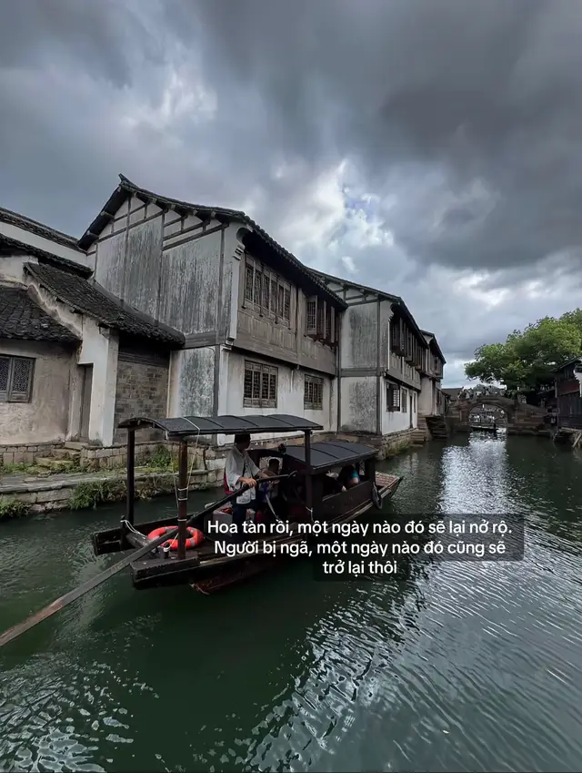 Hoa tàn rồi, một ngày nào đó sẽ lại nở rộ.  Người bị ngã một ngày nào đó cũng sẽ trở lại thôi#stthaymoingay #xuhuongtiktokk 