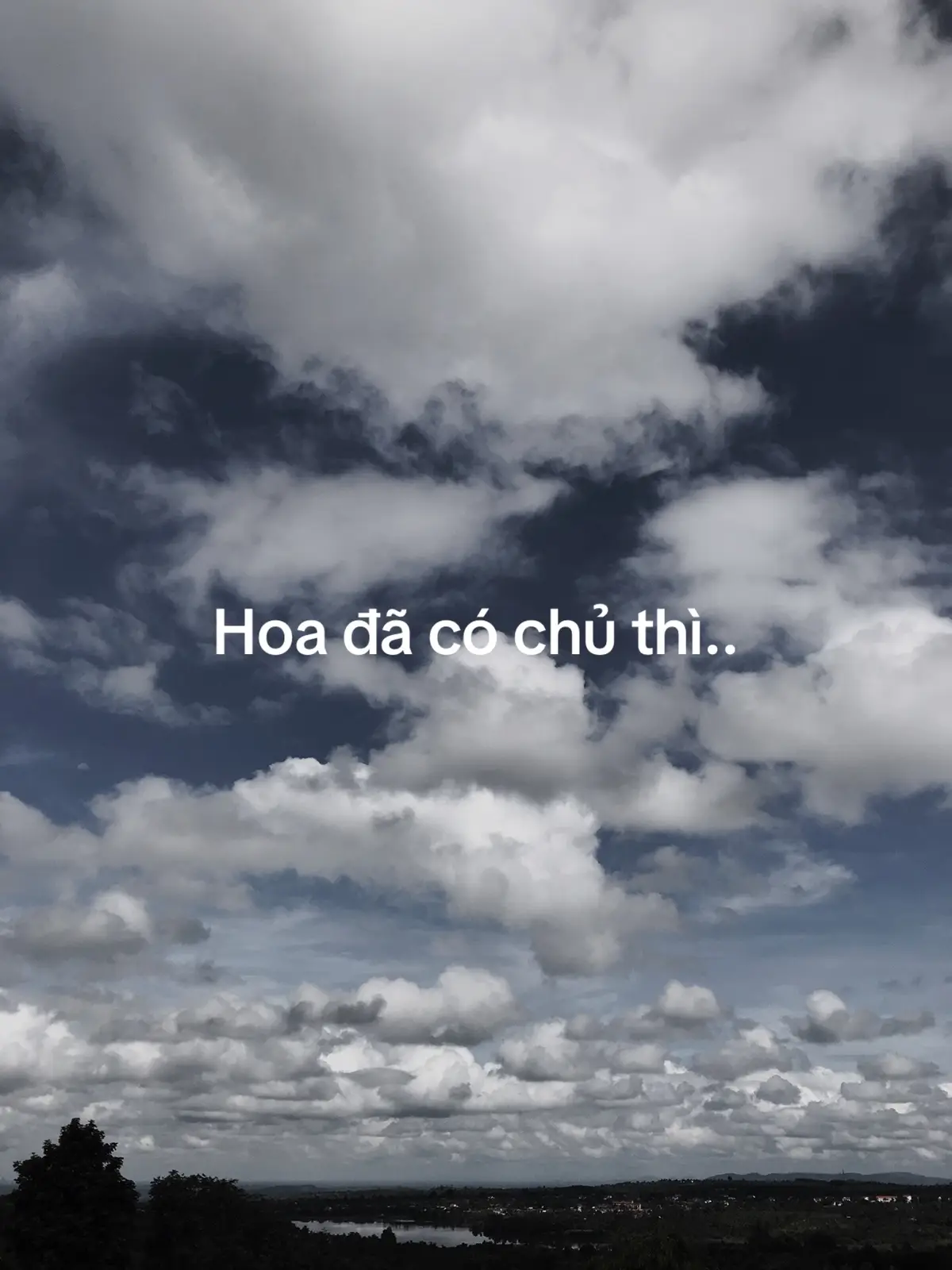 #không tồi đâu#fyp#tinhyeu