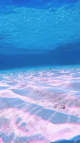 🩵🌈 #snorkeling #underwater #seaturtle #miyakoisland #skindive 