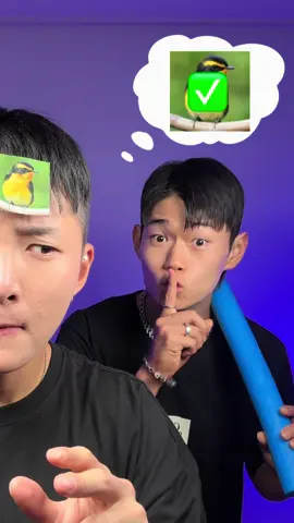 Guess the picture!#beatbox @Beatbox_Mighty 