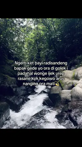 Nyawang dunyo rasane singklu☺️