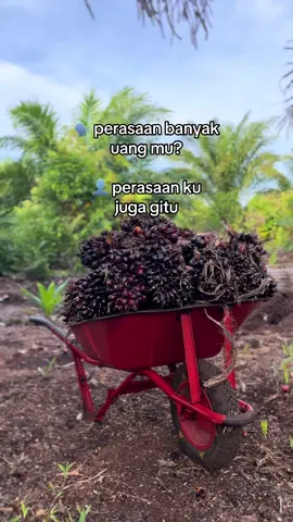 perasaan ku pun gitu#sawitontiktok #storysawit🌴🌴 #fyp #masukberanda #sawitriau 