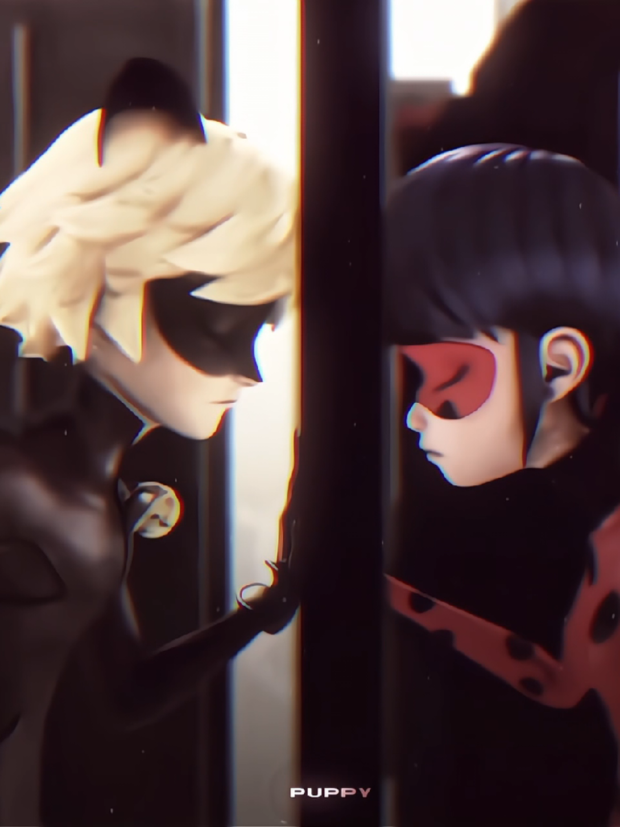 nhin mua se nho nhau hon.. #miraculous #ladynoir #ladybug #chatnoir #puppy_uwi 