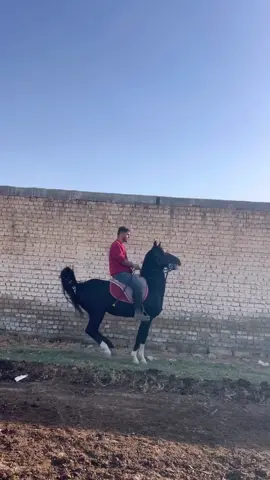 #foruyou #tiktok #fyppppppppppppppppppppppp #hawler_slemani_dhok_karkuk_hallabja🤝 #kurdistan 
