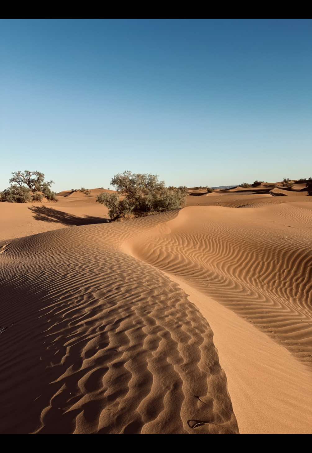 Magic and crazy experience 🧡    #morocco #sahara #voyage #desert #maroc 