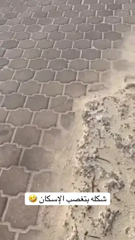 بموووت🤣🤣🤣🤣