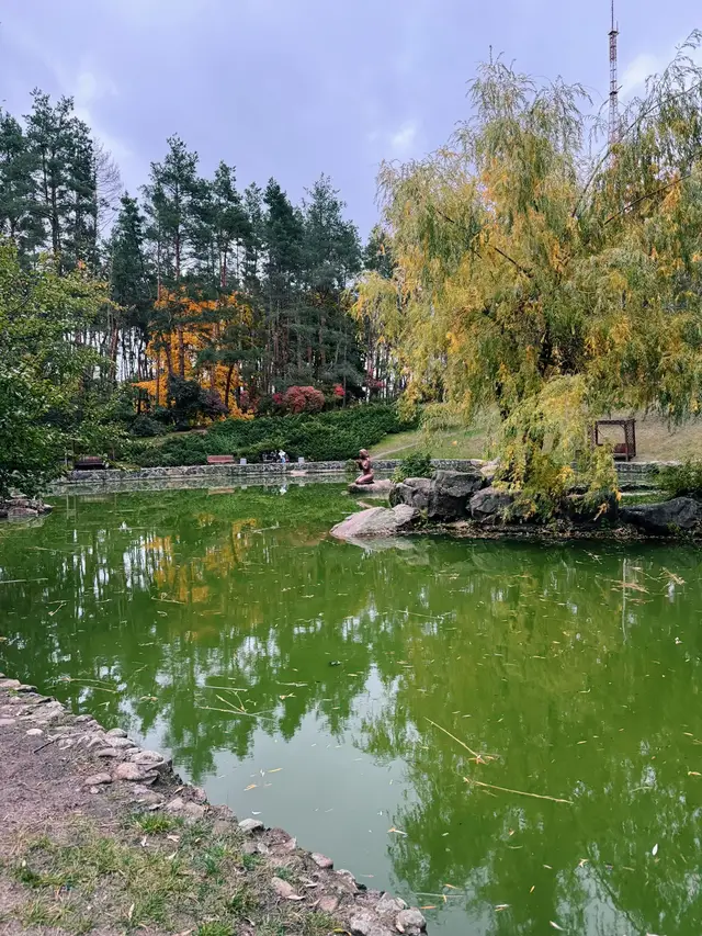 🌲 Черкаси, парк «Сосновий бір» — одне з тих місць, де природа дихає спокоєм. Тут можна сховатись від шуму міста, пройтись стежками, вкритими жовтим листям, або просто посидіти біля озера, спостерігаючи, як вітер колише дерева. Вода у ставку віддзеркалює небо, ніби хоче втримати осінь ще на мить. Коли заходить сонце — парк перетворюється: ліхтарі м’яко підсвічують дерева, і здається, що ти потрапив у казку. Якщо шукаєш місце для спокою, натхнення чи просто гарних кадрів — «Сосновий бір» тебе точно не розчарує. 🌿 Черкаси справді мають свою магію — головне, навчитися її помічати ✨ #осінь #черкаси #landscape #autumn #ліс 