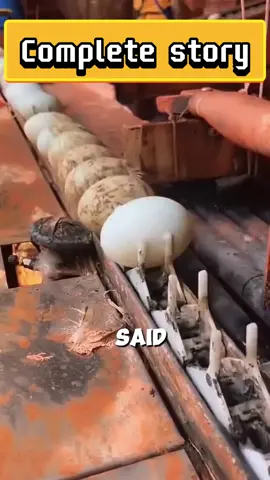 #reddit #redditstories 