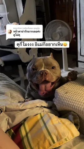 ตอบกลับ @อุนอูอุ้ม ไม่ดุเลยดีกว่าค่ะ😂