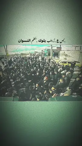 زينب زينب . . #شور_حتى_الظهور  #الامام_الحسين_عليه_سلام  #الحسين_ثورة_خالده #fyp #viral 