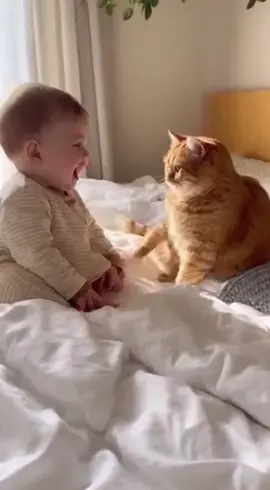 Bermain bersama bayi 😸 #fyp #bayilucu #kucinglucu