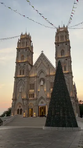 Lại một mùa Giáng Sinh nữa sắp tới 🌲#merrychristmas #huynhdong_music #nhathosongvinh #giaoxusongvinh #songvinh 