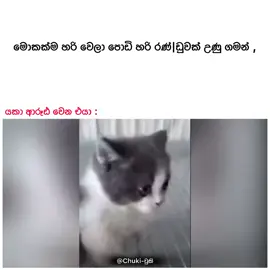 😓💔 #fyp #viralvideo #trendingnow #srilanka #funnyreel 