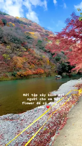 Mình đang xây kênh mọi người giúp mình 1 flower nhé ☺️ Mùa thu Kyoto 🇯🇵 #xh #viral #cuocsongnhatban #nhatban🇯🇵 #kyoto 