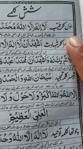 پہلا کلمہ طیب طیب معنی پاک لا الہ الا اللہ محمد رسول اللہ اس طرح مکمل کلمہ سن لیں اگر کسی کو کلمے نہیں اتے اس ویڈیو کو مکمل دیکھیں انشاءاللہ اس کو مکمل کلمہ یاد ہو جائیں گے ہر مسلمان کو کلمے یاد ہونے چاہیے اج دیکھتے ہیں کہ کلمے کو کون کون سے کرتا ہے یہ ویڈیو پورے پاکستان میں جانے چاہیے ہر بندہ کلمہ پڑھے ہر بندے کی زبان پر کلمہ ہو انشاءاللہ جب بھی کوئی بندہ مرے اس کی زبان پر کلمہ ضرور نصیب ہو