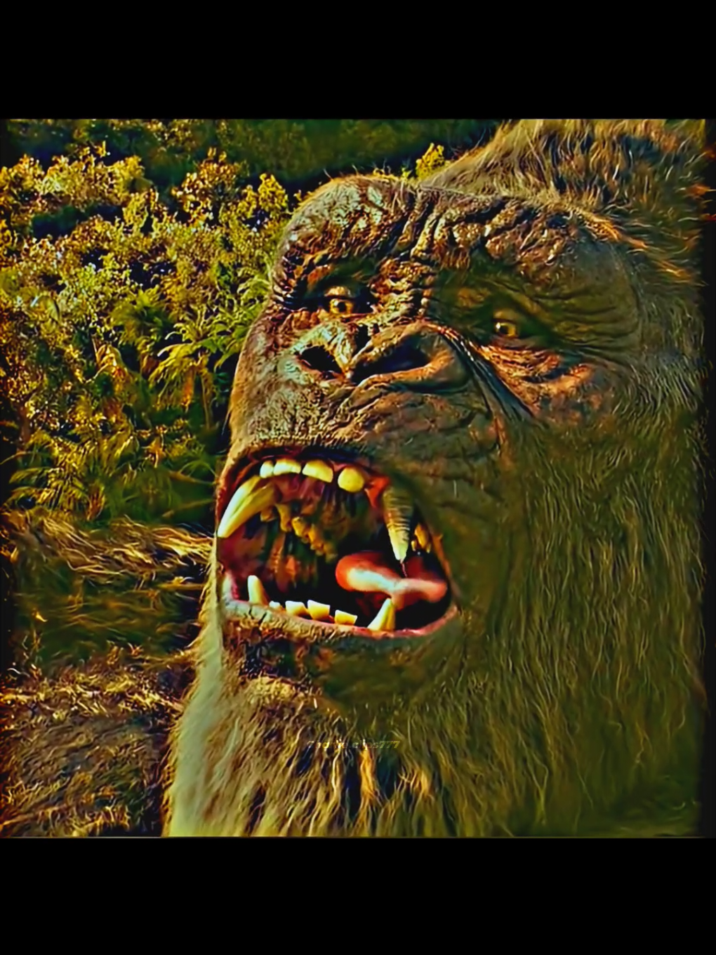 King Kong had no one in this world🤯😱#hollywoodmoviereview #movieexplanation #quickmoviereview #hindimovieexplanations #movieshorts 