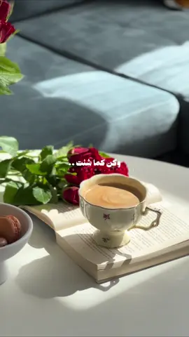 #صباحيات #قهوتي 