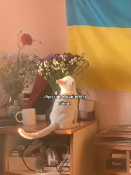 я скучаю по жизни до войны( #💔🇺🇦 #война #життябезвійни #рекомендації🇺🇦 