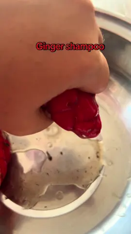 သူရဲ့ ကျိချွဲတဲ့ အရည်တွေနဲ့ ခေါင်းလျှော်လို့ရတဲ့ Herbal shampoo။ တောထဲ အများကြီးဘဲ ပေါက်နေတာ  #gingershampoo #pyinoolwin #fyp #foryoupage #explore 