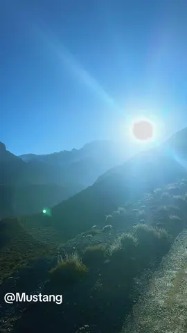 Finally Mustang ni pugiyo #mustang #fyp #trending #mahadev #viral 