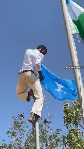 Cajiibsanaa!,  Mid kamid ah Ardayda Iskuulka  Gambool oo Calanka suraya birta 🇸🇴 @Zack ❤️🇸🇴🐎  Guulayso sxb  #bulshaawi #realbulshaawi #Garowe  #puntland #somalia 