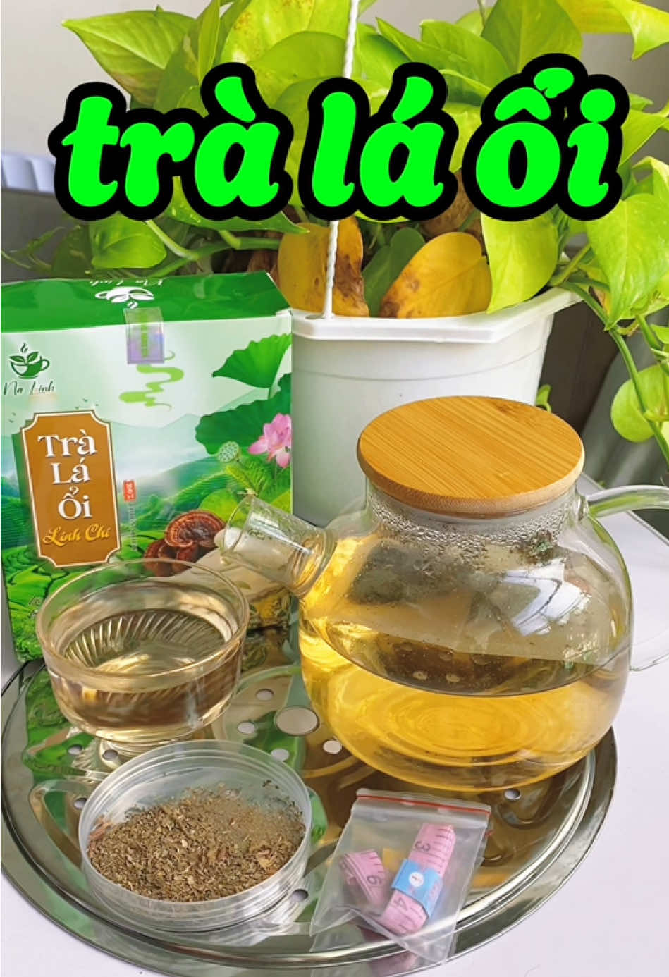 60 túi trà lá ổi #tràláổi 