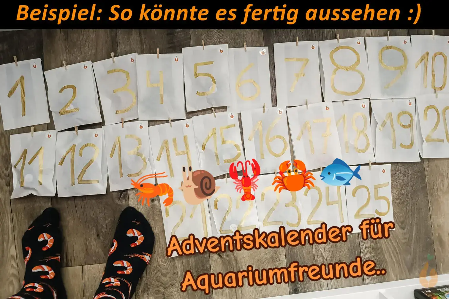 - 24+1 tolle Überraschungen mit Futter, Mineralien und natürlicher Deko (wie auf dem ersten Artikelbild zu sehen) - Inklusive vielfältiger Produktauswahl zum Testen - Der kreative Weihnachtskalender für Aquarianer - Jeden Tag 1 Papier-Tütchen zum Öffnen - Zum selber bastel, selbst befüllen und individuell beschriften - DIY - Do it yourself ;)  - Das perfekte Geschenk Nun ist es so weit - mehrfach gewünscht, jetzt ist er wieder da! Der gefüllte Aqua Birne Adventskalender / Weihnachtskalender mit einzelnen Papiertütchen und Mini Holzklammern zum selber basteln. Für Euch und Eure liebsten Garnelen / Zwerggarnelen, Aquariumschnecken / Wasserschnecken, Krebse / Krabben, Fische uvm. Sozusagen ein Aquarianer / Aquarium / Aquaristik Weihnachtskalender zum selbst gestalten und kreativ werden. Mit täglichen Überraschungen für die Vorweihnachtszeit / Adventszeit. Für Aquarium-Freunde und die es noch werden möchten :) --- Darüber freuen sich auch meine Lieblinge / Bewohner in meiner Aquarium Zuchtanlage: Zwerggarnelen / Garnelen, Aquariumschnecken / Wasserschnecken, Krebse, Krabben, Wasserpflanzen, Moose.. 🦐🌿 Aquarium Tiere, Premium Futter, wertvolle Tipps und vieles mehr auf: Aqua-Birne . de 🐌🦞 ▶️ Speichere dir den Beitrag + folgen und linken nicht vergessen :) Aquaristische Grüße Daniel Birnbaum, die Aqua Birne 🍐🤠👍 . . . #Aquarium #garnelen #zwerggarnelen #adventskalender #weihnachtskalender              