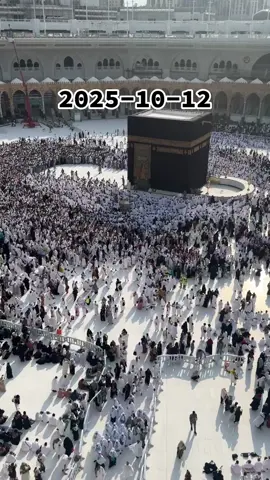 #creatorsearchinsights ##LIVEIncentiveProgram #LIVECareer #PaidPartnership 