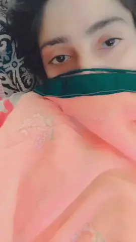 حبيبي كلمني عشان الريده