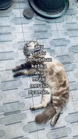 #fyp #fouryou #4u #sadstory #sad 