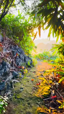 nắng lên rồi, xuống núi thôi#sanmay #nalay #bacson #langson #xuhuongtiktok 