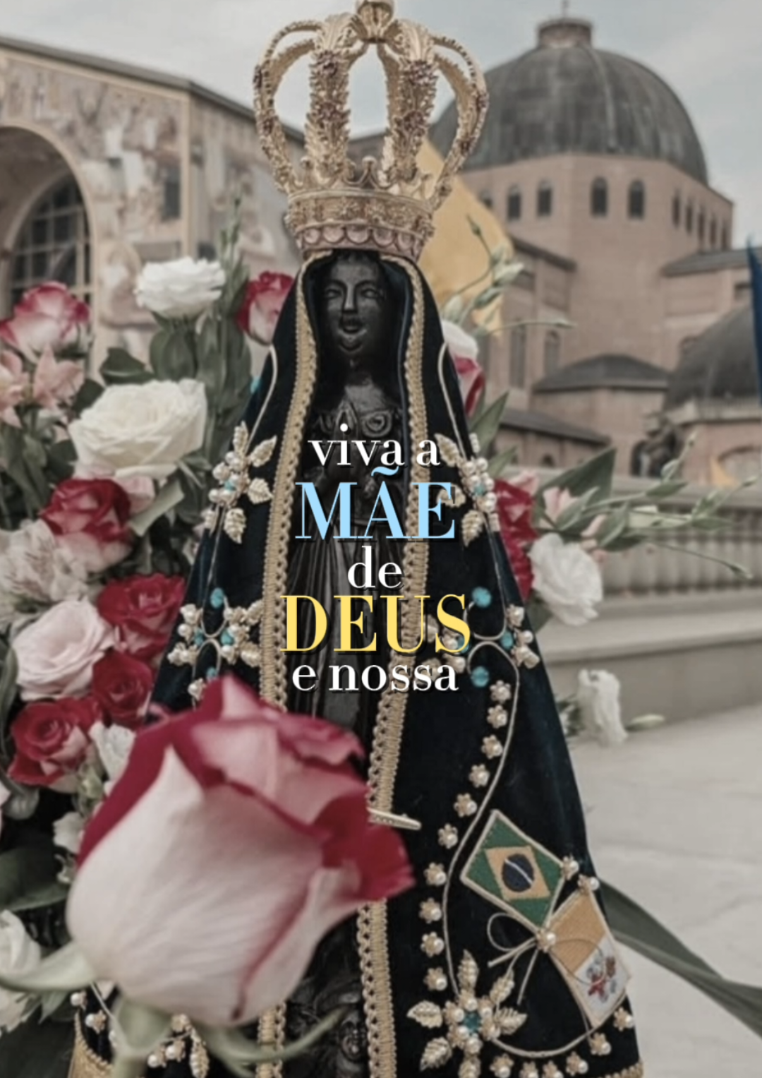 Viva Nossa Senhora da Conceição Aparecida! #nossasenhora #aparecida #maededeus #maria #🇻🇦 