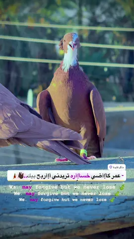 #اللهم_صل_على_محمد_وآل_محمد #تفاعلكم_لايك_متابعه_اكسبلوررررراexplore #اكسبلور #مشاهير_تيك_توك #الشهب_الصيني_ماله_حل😂😂 @ﺂِࢦِٰـِﺒۦgehw 