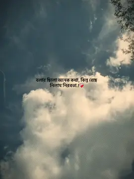 বলার ছিলো অনেক কথা, কিন্তু বেছে নিলাম নিরবতা.!❤️‍🩹 #foryou_ #foryoupage #trending_ #vairal_ #1million_tik_tok
