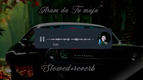 Aram da Tu muja  full song slowed and reverb #foryou❤ #foryoupage#foryou❤ #video_viral#fyp#90smusic #dontunderreviewmyvideo #trendingsound#music #unfreezmyaccount#1m #keepsupporting 