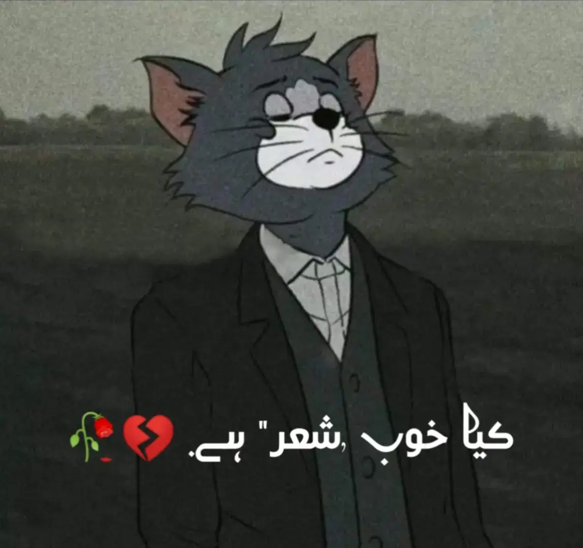 #poetry #100k #fyp #fyp 