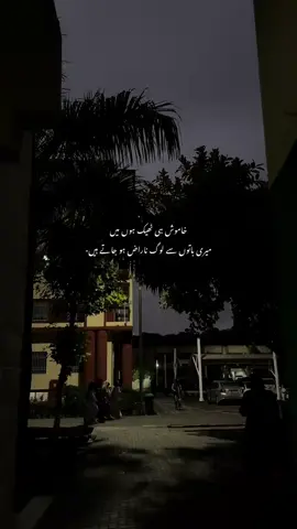 #fyppppppppppppppppppppppp #creatorsearchinsights #foryou #fyp 