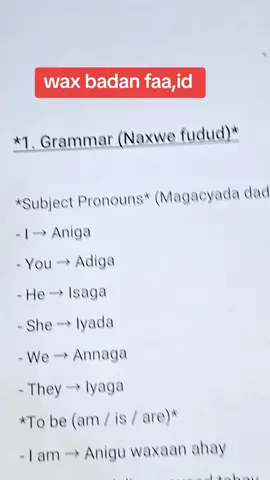 Subject pronouns #fyp #foryou #foryoupage #tiktok #somalitiktok 
