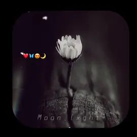 ||Peer Ajmal Raza Qadri|| #islamicvideo #islamicfeeling #islamicscholar #peerajmalrazaemotionalbayan #viral #youtubeshorts #shorts #byaan #islamic #subhanallah #short #reels #trending #mashallah #for #status #naat #naatstatus #ajmalrazaqadri #shortsfeed#for #foryou #foryoupage #viralvideo #video 