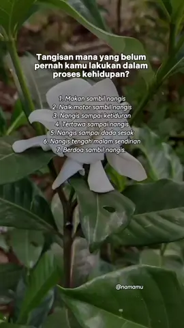 aku pernah merasakan semua tangisan itu dan semoga kedepannya tangisan itu berubah menjadi tangisan syukur Alhamdulillah  #pemulatiktok  #personalbranding  #naikinfollowersku  #fyf #followmyaccount🙏❣️ 