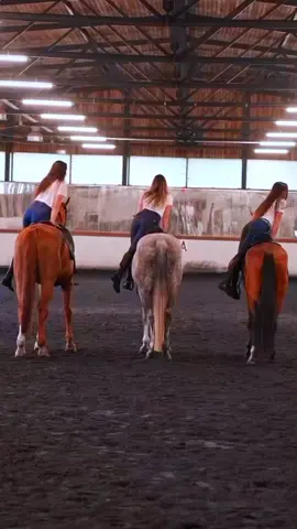 #خيول_عربية_اصيلة_🌹💙 #عشق_الخيل_ادمان🐎❤️ #خيول_جمال🤎🐎 #خيل_وخياله🐎 #اكسبلور 