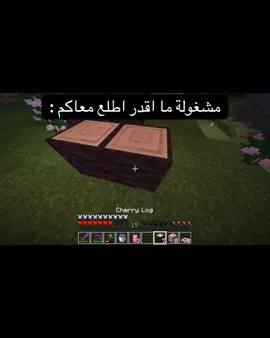 معليش عندي اساسيات #maincraft #ماينكرافت #fyp #explore 
