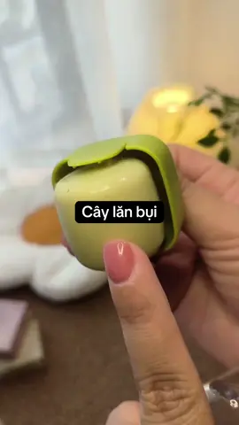 Cây lăn bụi mini #trending 