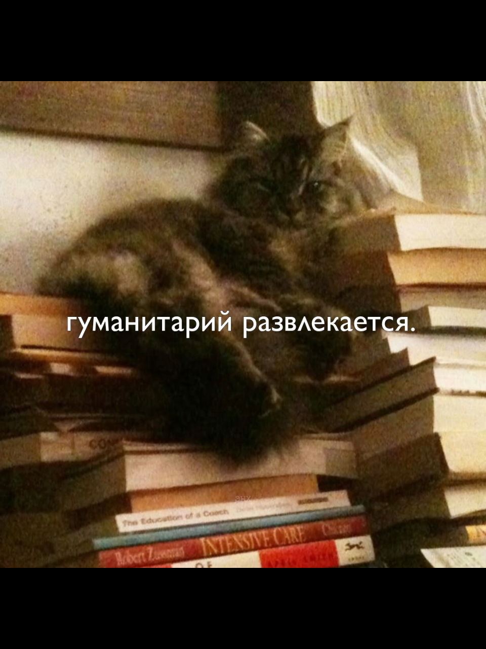 Теория Родиона Раскольникова — центральный элемент романа Ф.М. Достоевского «Преступление и наказание». Это сложное и противоречивое переплетение философских, социальных и психологических идей. Раскольников разделяет людей на две категории: «тварей дрожащих» и «право имеющих». #достоевский #преступлениеинаказание #литература #гспд #gspd #наполеон #русскаялитература 