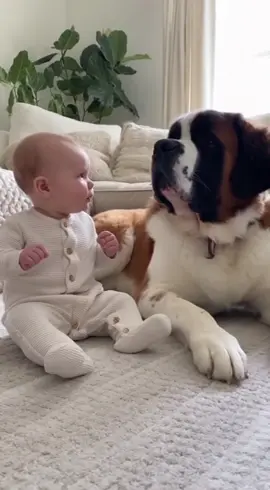 #dog #cutebaby #funnytoddler 