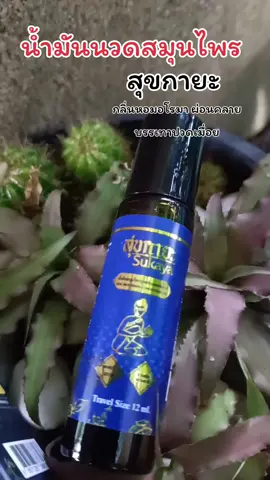 #สุขกายะ #สุขกายะแก้ปวด #สุขกายะนวดเพื่อสุขภาพ #น้ํามันนวดสมุนไพรสกัด 